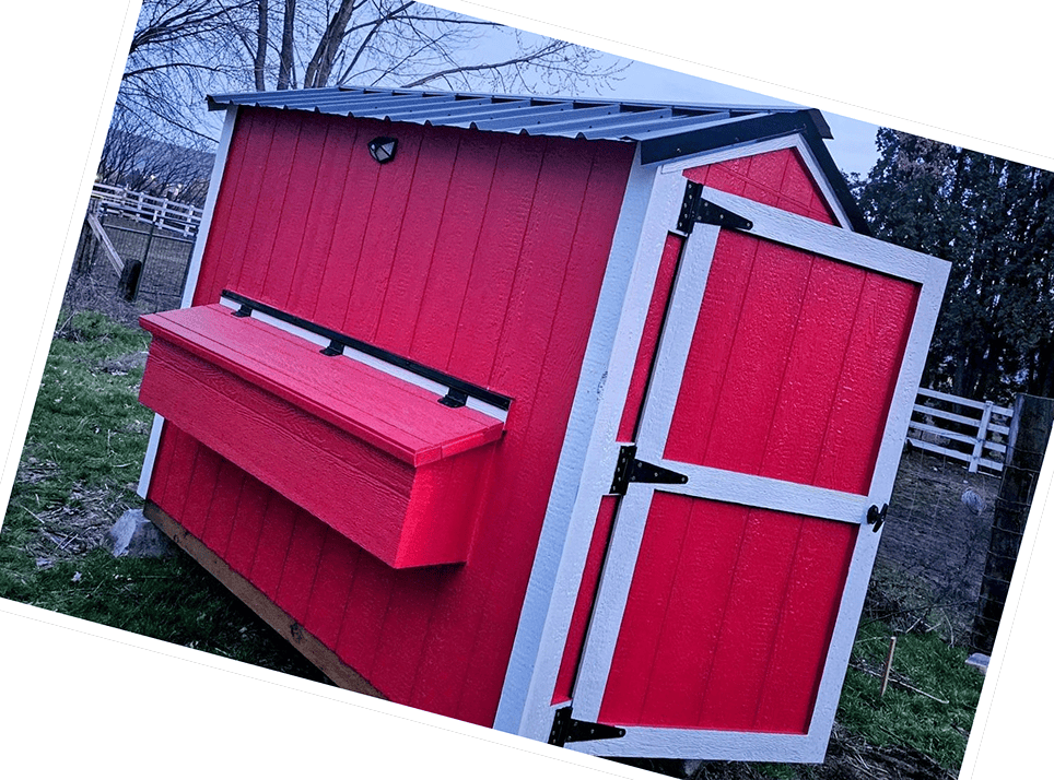 Red shed with open white door.
