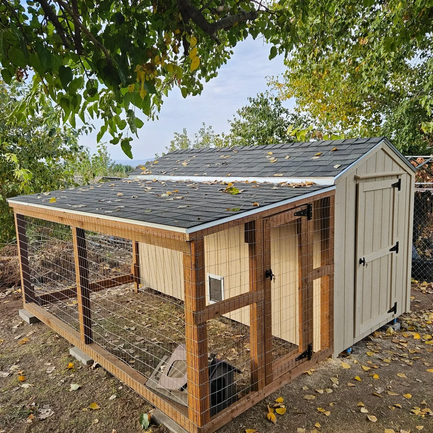 Chicken coop surrounded by trees and leaves.